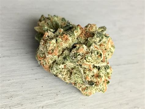 24 karat strain  Sunset Sherbet is a low CBD strain, with the maximum amount of cannabidiol recorded reportedly 0